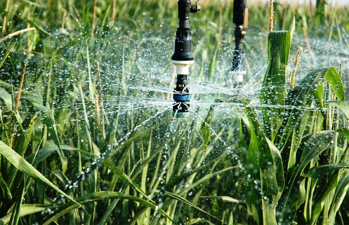 mais recente caso da empresa sobre Sistema de irrigação inteligente do gramado urbano